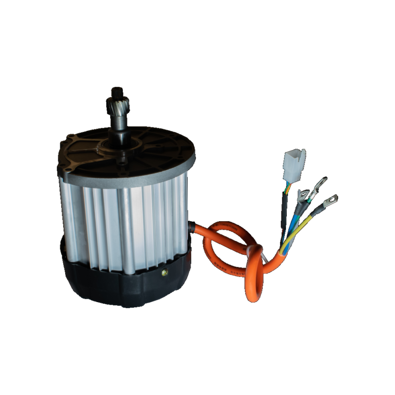 Gebürsteter Motor 48V/60V/800W (Cargo 250)